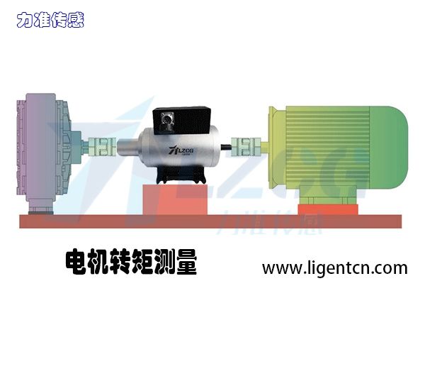 在電機轉矩測量上的應用